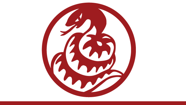 chinese-new-year-snake-616